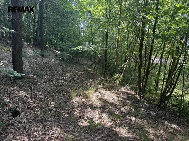 Prodej pozemku pro bydlení, Klopina, 439 m2