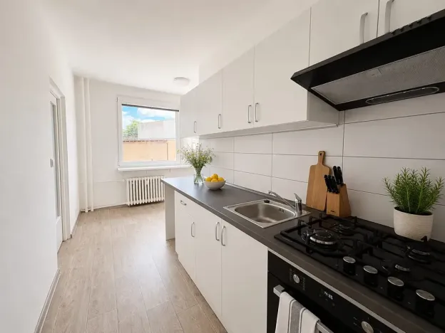 Pronájem bytu 3+1, Litvínov, Rooseveltova, 63 m2