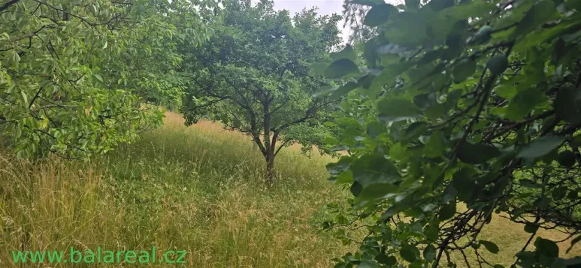 Prodej rodinného domu, Šošůvka, 130 m2