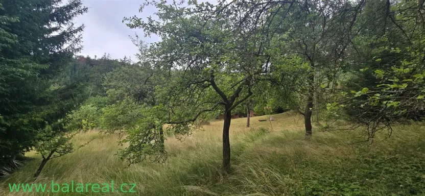 Prodej rodinného domu, Šošůvka, 130 m2
