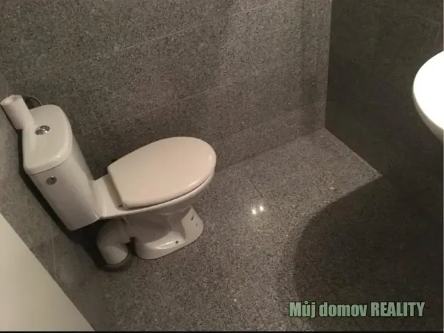 Pronájem bytu 1+kk, Praha - Vysočany, Freyova, 19 m2