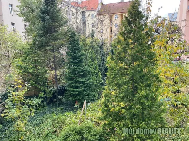 Pronájem bytu 1+kk, Praha - Vysočany, Freyova, 19 m2