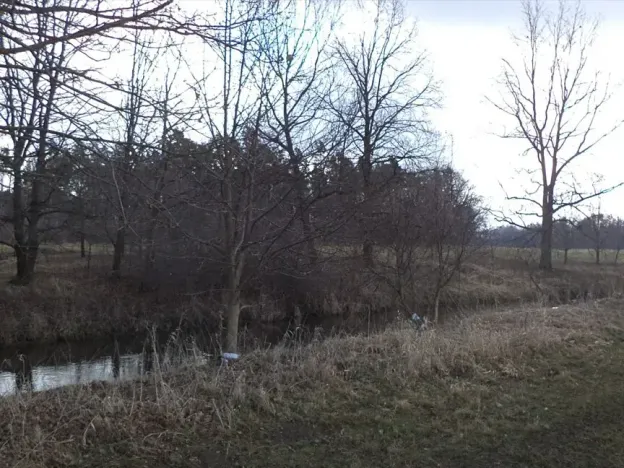 Dražba louky, Lužnice, 552 m2