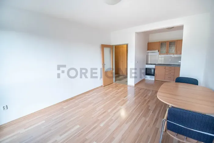 Pronájem bytu 2+kk, Brno, Brigádnická, 49 m2
