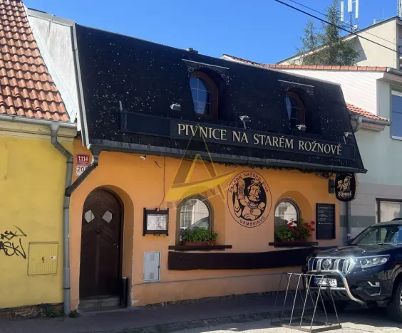Prodej restaurace, České Budějovice - České Budějovice 7, Lidická tř., 265 m2