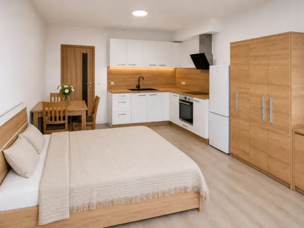 Pronájem bytu 1+kk, Olomouc, Edmunda Husserla, 29 m2