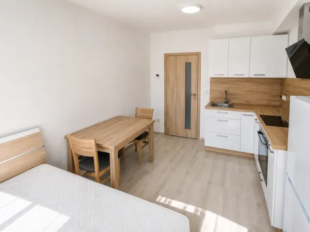 Pronájem bytu 1+kk, Olomouc, Edmunda Husserla, 29 m2