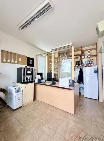 Prodej komerční nemovitosti, Vítkov, Průmyslová, 994 m2