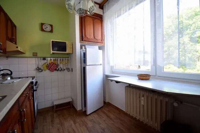 Pronájem bytu 3+1, Brno - Lesná, Studená, 71 m2
