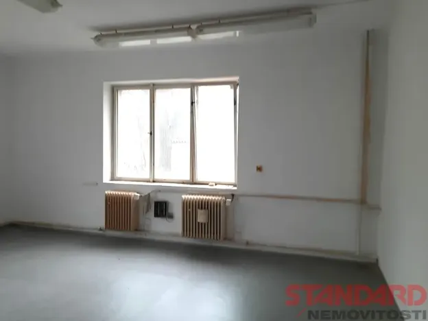 Pronájem komerční nemovitosti, Lužany, 64 m2
