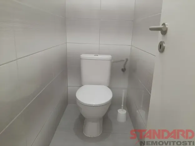 Pronájem komerční nemovitosti, Lužany, 64 m2