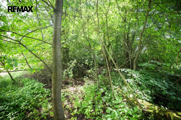 Prodej pozemku pro bydlení, Rožmitál pod Třemšínem, 876 m2