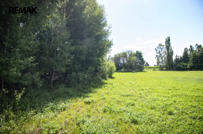 Prodej pozemku pro bydlení, Rožmitál pod Třemšínem, 876 m2