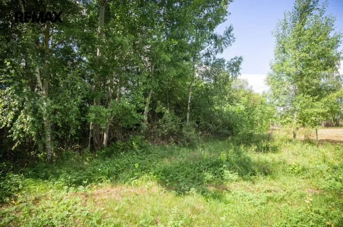 Prodej pozemku pro bydlení, Rožmitál pod Třemšínem, 876 m2