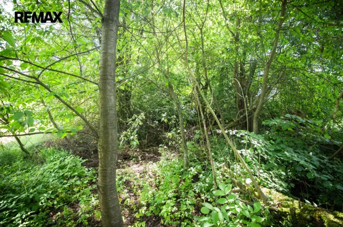Prodej pozemku pro bydlení, Rožmitál pod Třemšínem, 876 m2