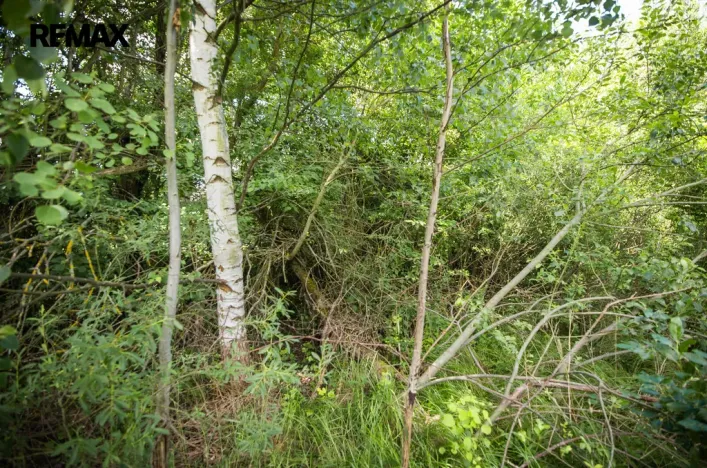 Prodej pozemku pro bydlení, Rožmitál pod Třemšínem, 876 m2