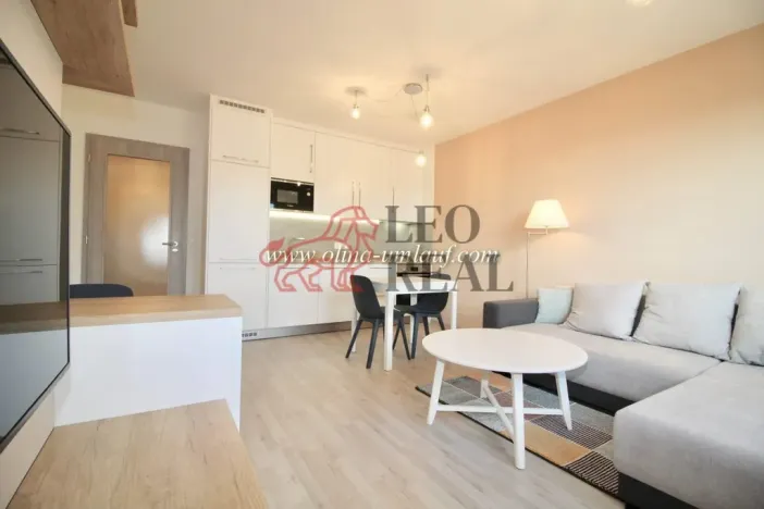 Pronájem bytu 2+kk, Praha - Vysočany, Strnadových, 63 m2