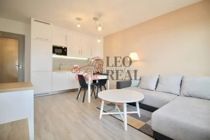 Pronájem bytu 2+kk, Praha - Vysočany, Strnadových, 63 m2