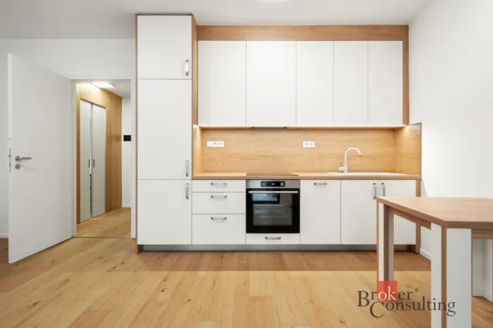 Pronájem bytu 1+kk, Brno - Zábrdovice, Bratislavská, 44 m2