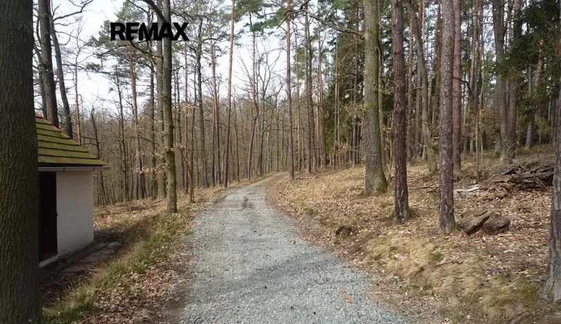 Prodej chaty, Plasy, 50 m2