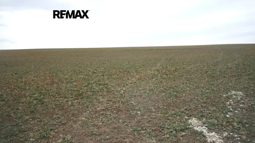 Prodej pozemku pro bydlení, Pavlíkov, 895 m2