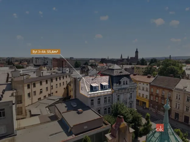 Prodej bytu 3+kk, Opava - Předměstí, Olomoucká, 55 m2