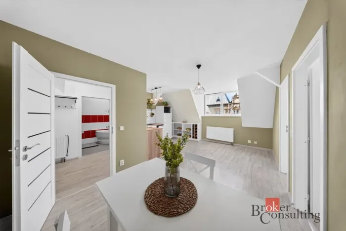 Prodej bytu 3+kk, Opava - Předměstí, Olomoucká, 55 m2