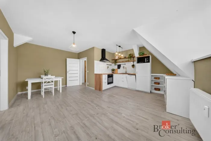 Prodej bytu 3+kk, Opava - Předměstí, Olomoucká, 55 m2