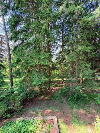Prodej chaty, Borová, 53 m2