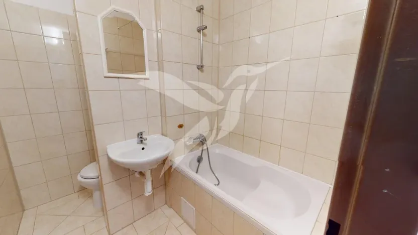 Pronájem bytu 1+1, Horní Bříza, Na Kaolince, 38 m2