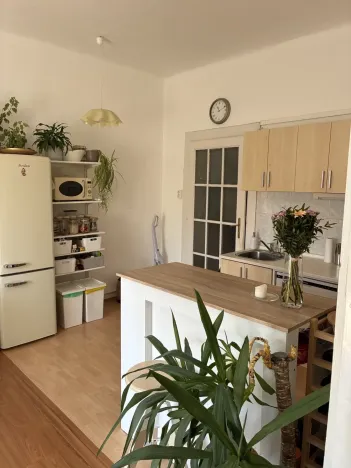 Pronájem bytu 1+1, Praha - Bubeneč, Terronská, 55 m2