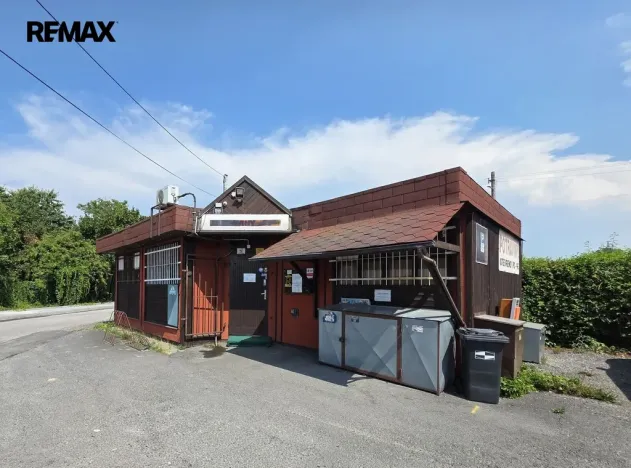 Prodej obchodního prostoru, Dolní Lutyně, Rychvaldská, 50 m2