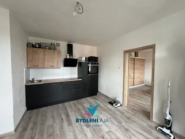 Prodej bytu 1+1, Teplice, Československých legií, 48 m2