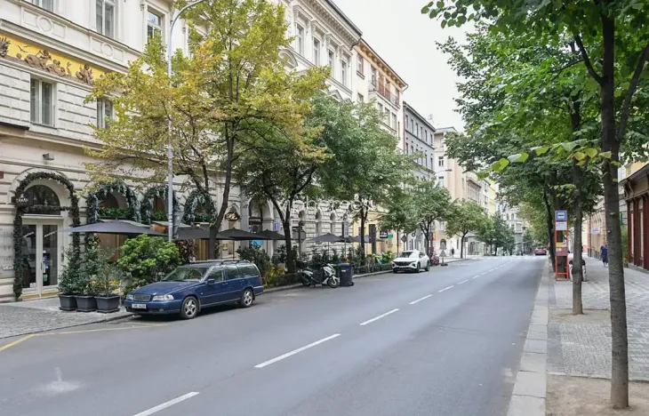 Pronájem bytu 3+kk, Praha - Vinohrady, Italská, 104 m2