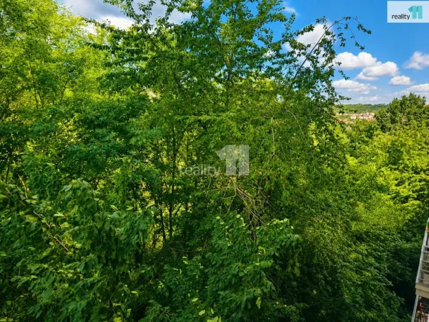 Pronájem bytu 2+kk, Praha - Košíře, Černochova, 52 m2