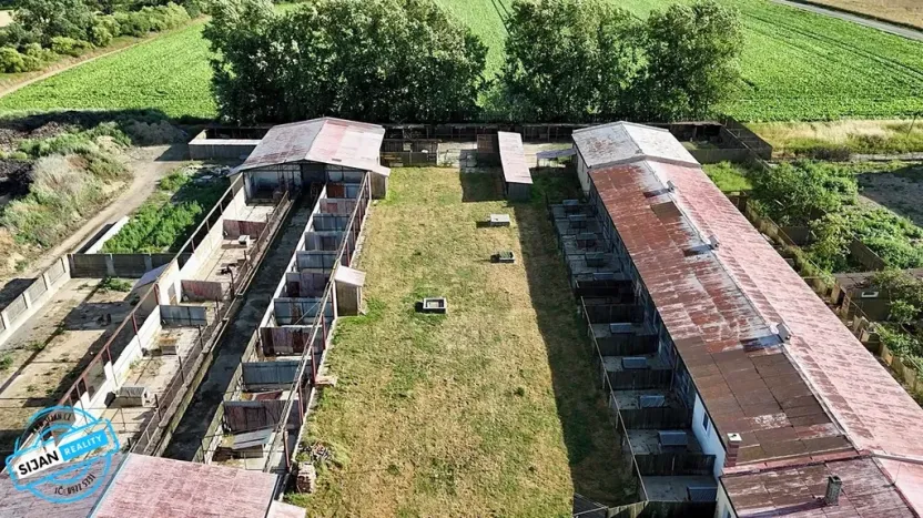 Prodej zemědělské usedlosti, Slezské Pavlovice, 810 m2