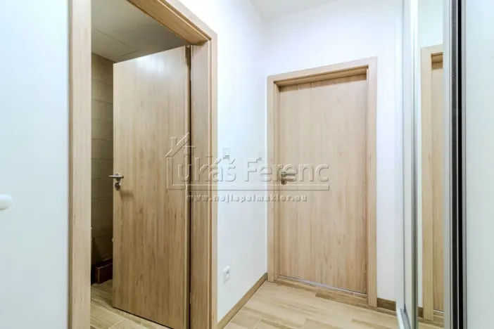 Pronájem bytu 1+kk, Slaný, Lázeňská, 37 m2