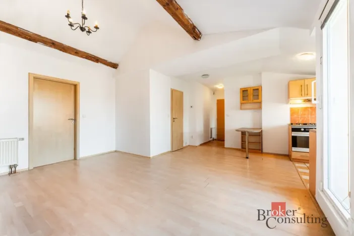 Prodej bytu 2+kk, Brno - Černá Pole, Provazníkova, 56 m2