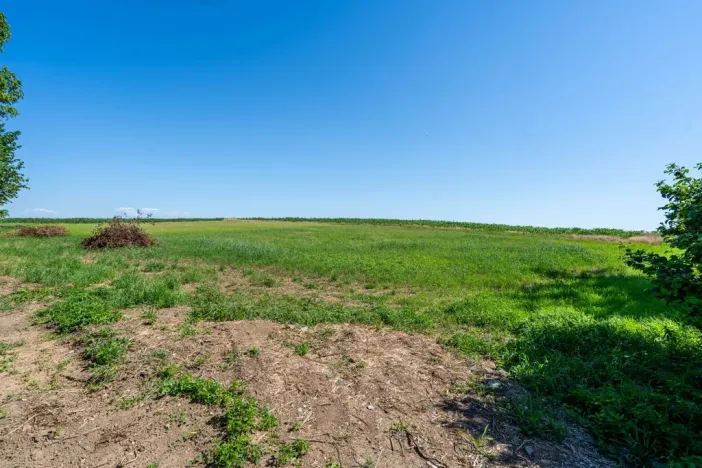 Prodej pozemku pro bydlení, Skalice - Číbuz, 1500 m2