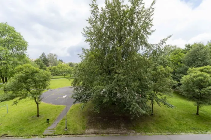 Prodej bytu 3+1, Ostrava - Hrabůvka, Cholevova, 75 m2
