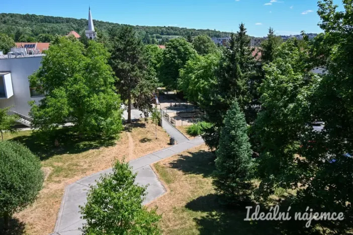 Pronájem bytu 1+1, Brno, Vavřinecká, 35 m2