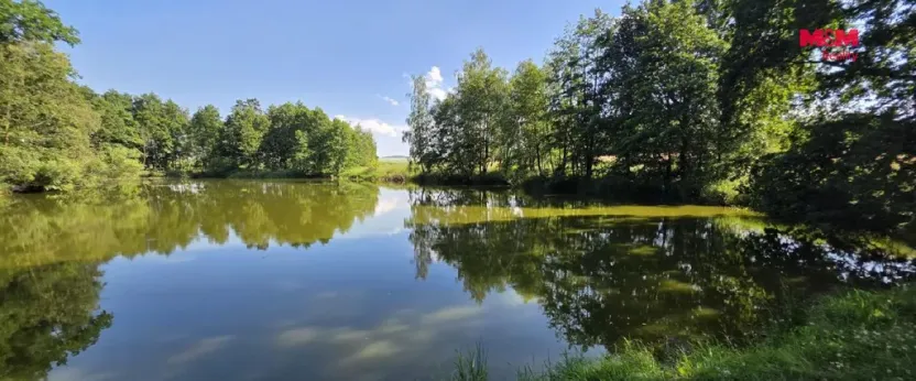 Prodej rybníku, Slezské Rudoltice - Amalín, 18189 m2
