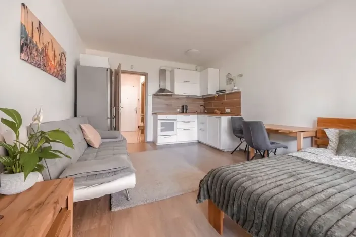 Prodej bytu 1+kk, Praha - Horní Měcholupy, Mantovská, 40 m2