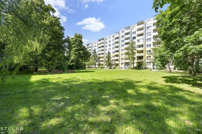Prodej bytu 3+1, Veselí nad Moravou, Hutník, 75 m2