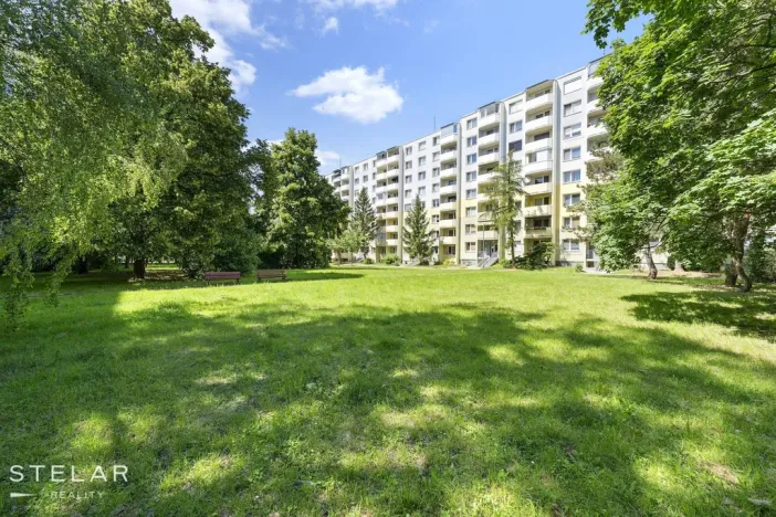 Prodej bytu 3+1, Veselí nad Moravou, Hutník, 75 m2