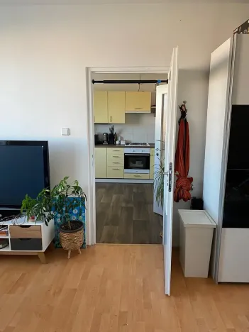 Prodej bytu 1+1, Teplice, Bratislavská, 41 m2