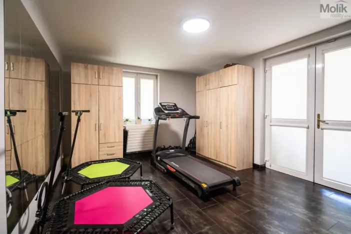 Prodej rodinného domu, Hýskov, Na Viničkách, 308 m2