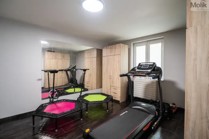 Prodej rodinného domu, Hýskov, Na Viničkách, 308 m2