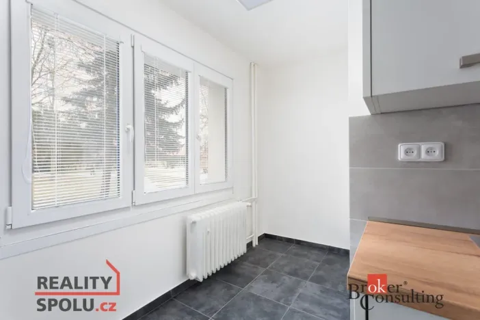 Prodej bytu 2+1, Plzeň - Doubravka, Smrková, 56 m2
