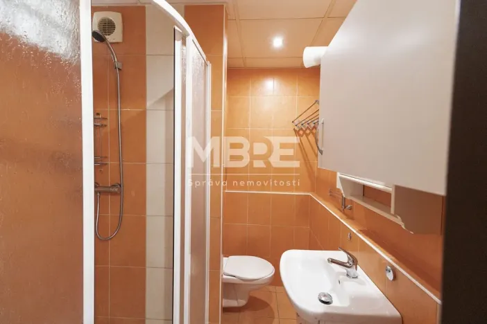 Pronájem bytu 2+1, Orlová - Lutyně, F. S. Tůmy, 44 m2